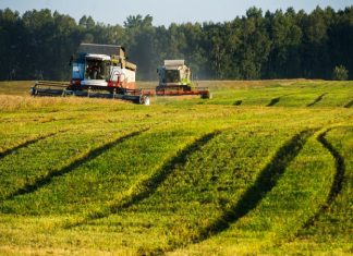 Стратегия успеха: как зеленая экономика спасет мир