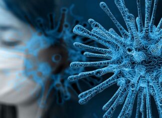 Китайские ученые обнаружили в Марианской впадине гигантские вирусы