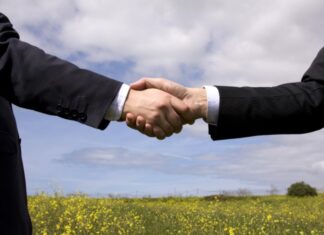 Плюсы аренды земли через аукцион