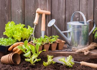 Как удобрения влияют на растения: разновидности препаратов, способы использования