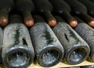 В Шампани погода в этом году уничтожила более трети урожая винограда