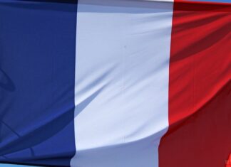 Африканский политический аналитик Омар Мбико: Париж обеспокоен эффективностью российских специалистов