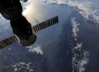 На МКС зацвел перец