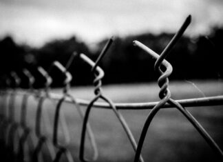 В Украине анонсировали создание специальной тюрьмы для «воров в законе»