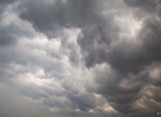 Жертвами урагана Ида в США стали восемь человек