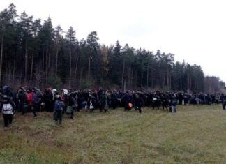 «Домой или в Бундестаг»: Украина резко ответила Германии на желание разместить у них мигрантов