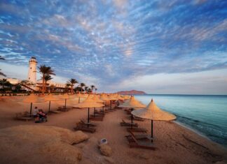 Туры в Египет: советы по поиску выгодных предложений