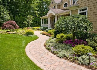 Ландшафтный дизайн: какие декоративные кустарники посадить?