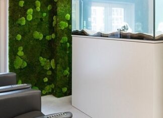 Стабилизированный мох в интерьере: как правильно его использовать?