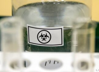 Штамм «Омикрон» Covid-19 проник в Германию и Чехию