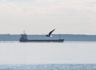 В Китае на реке Янцзы начал работу самый большой в мире лифт для кораблей