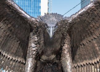 «Вызывает крайнее недоумение»: США, Украина и ЕС не поддержали борьбу с неонацизмом