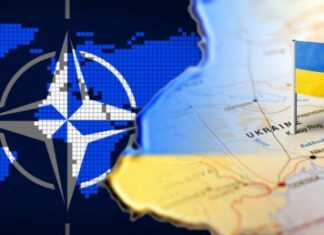 На Украине признались во лжи о взаимоотношениях с НАТО