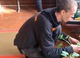 «Я тебя повешу, ты ведьма»: в Запорожской области больной молодой человек держит в страхе все село (видео)