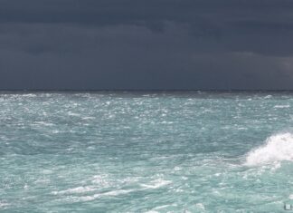 Грузовое судно потерпело бедствие в Персидском заливе