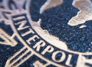 Интерпол не исключил Россию из своих рядов