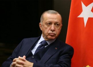 Турция вслед за Украиной попросила принять их в ЕС по ускоренной процедуре