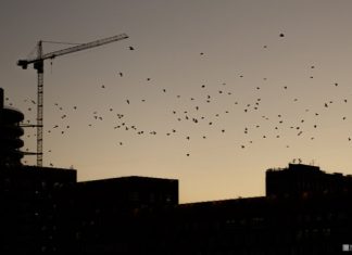 «Где плохо – там станет значительно хуже»: эксперт назвал главные риски для России в 2022 году