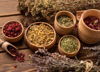 Кладовая природы: лечебные травы и их применение в народной медицине