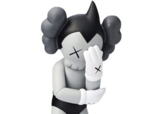 Історія виникнення Kaws